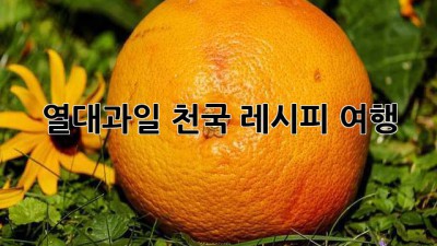 열대과일 천국 레시피 여행