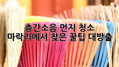 🏡 층간소음 먼지 청소, 마락리에서 찾은 꿀팁 대방출! ✨